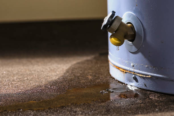 Best Mold removal after water damage  in Mabscott, WV