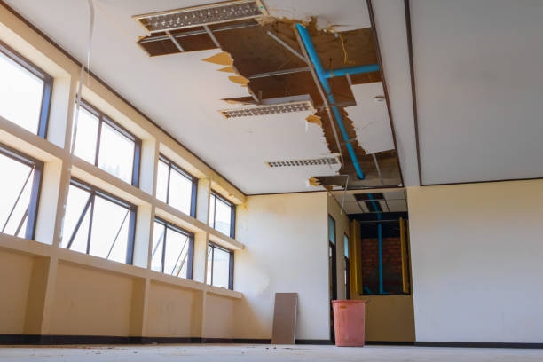 Best Ceiling water damage repair  in Mabscott, WV