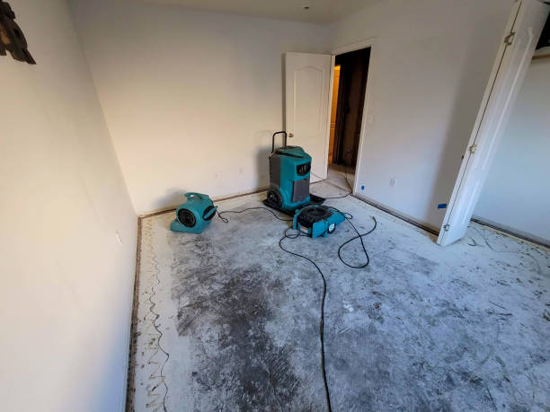 Best 24/7 water damage repair  in Mabscott, WV