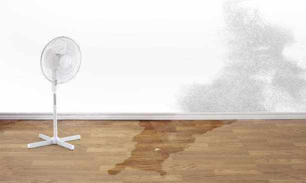Best Fire Damage Restoration  in Mabscott, WV