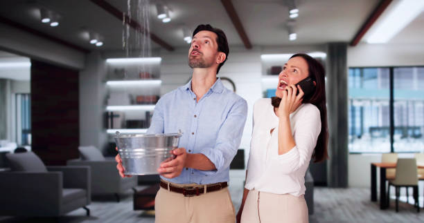  Mabscott, WV Water damage restoration Pros